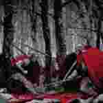 Ariovisto contra César; La Batalla de Vosgos